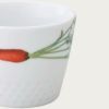 Noritake Japanese Cup 220Ml-Kyoka Shunsai Carrot