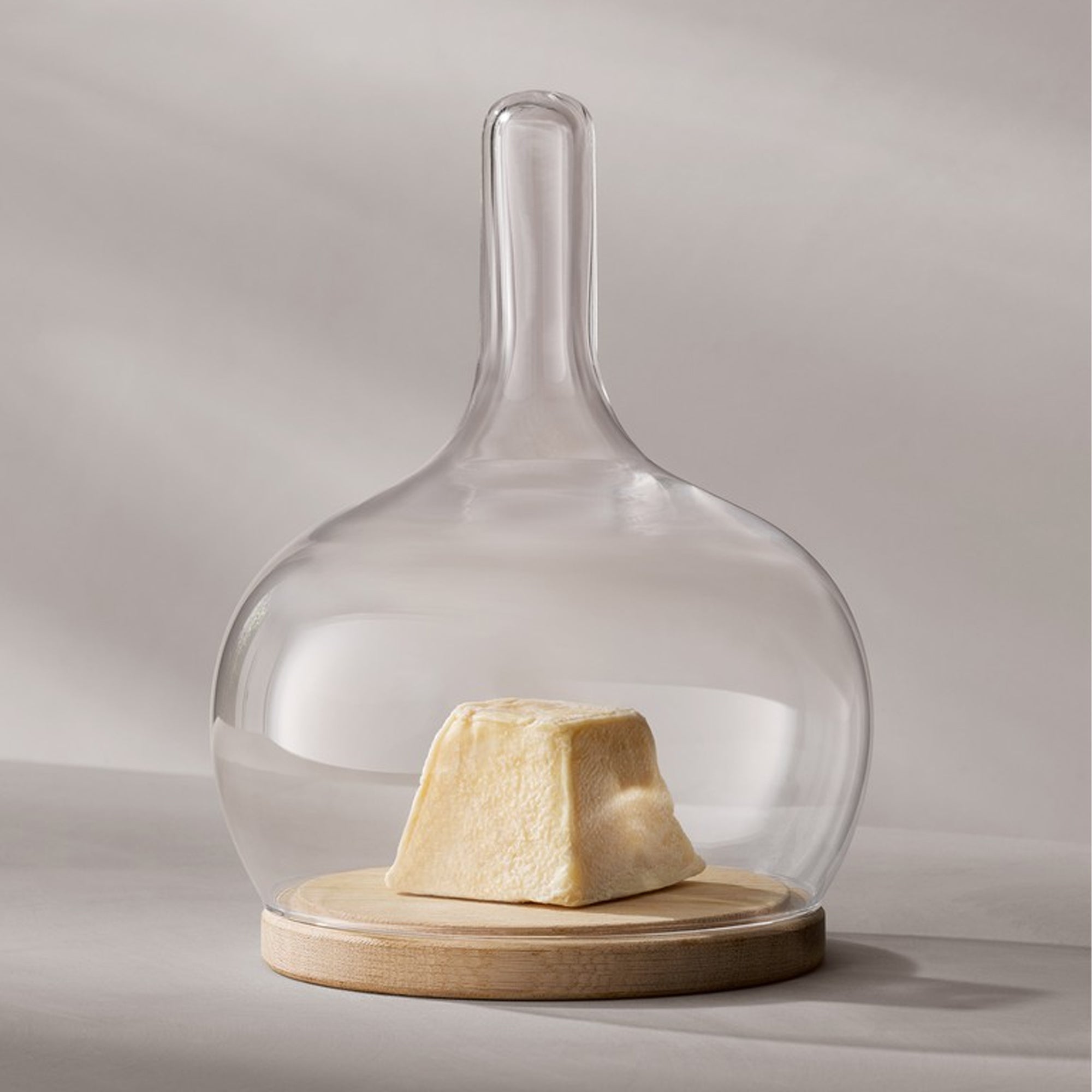 LSA International Cloche Dome & Oak Base