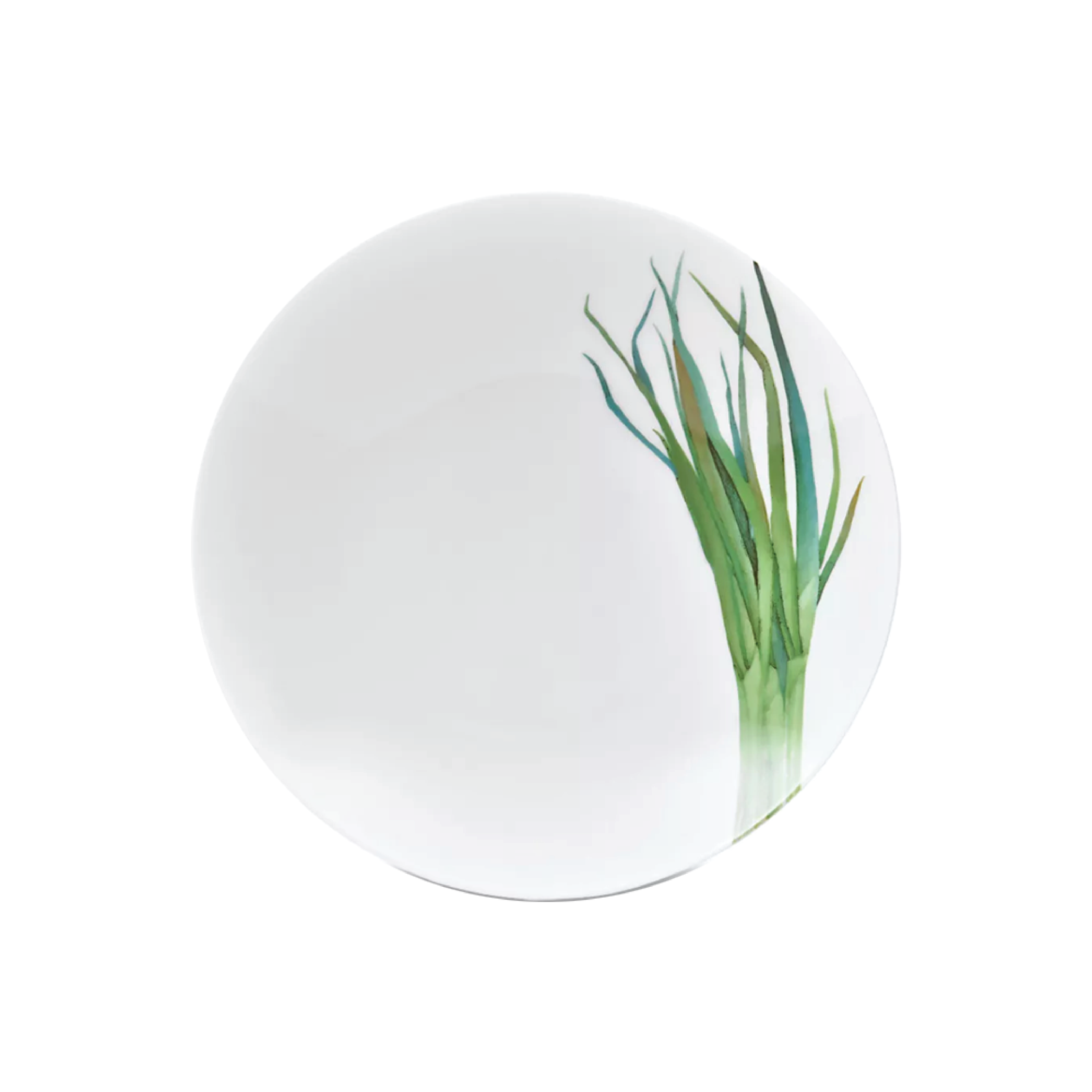 Noritake Coupe Deep Plate 23.4Cm-Kyoka Shunsai Long Green Onion