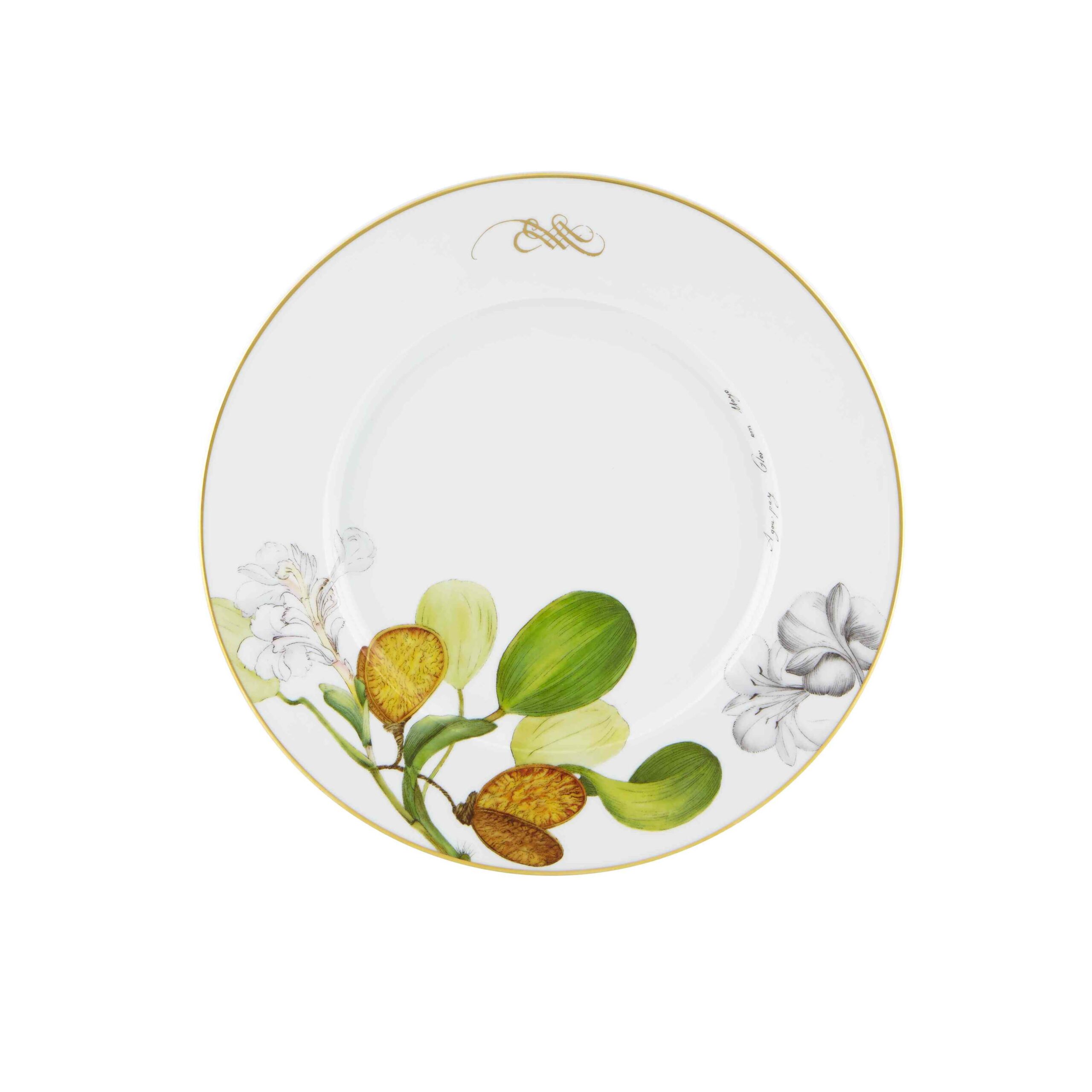 Vista Alegre Dinner Plate - Amazonia