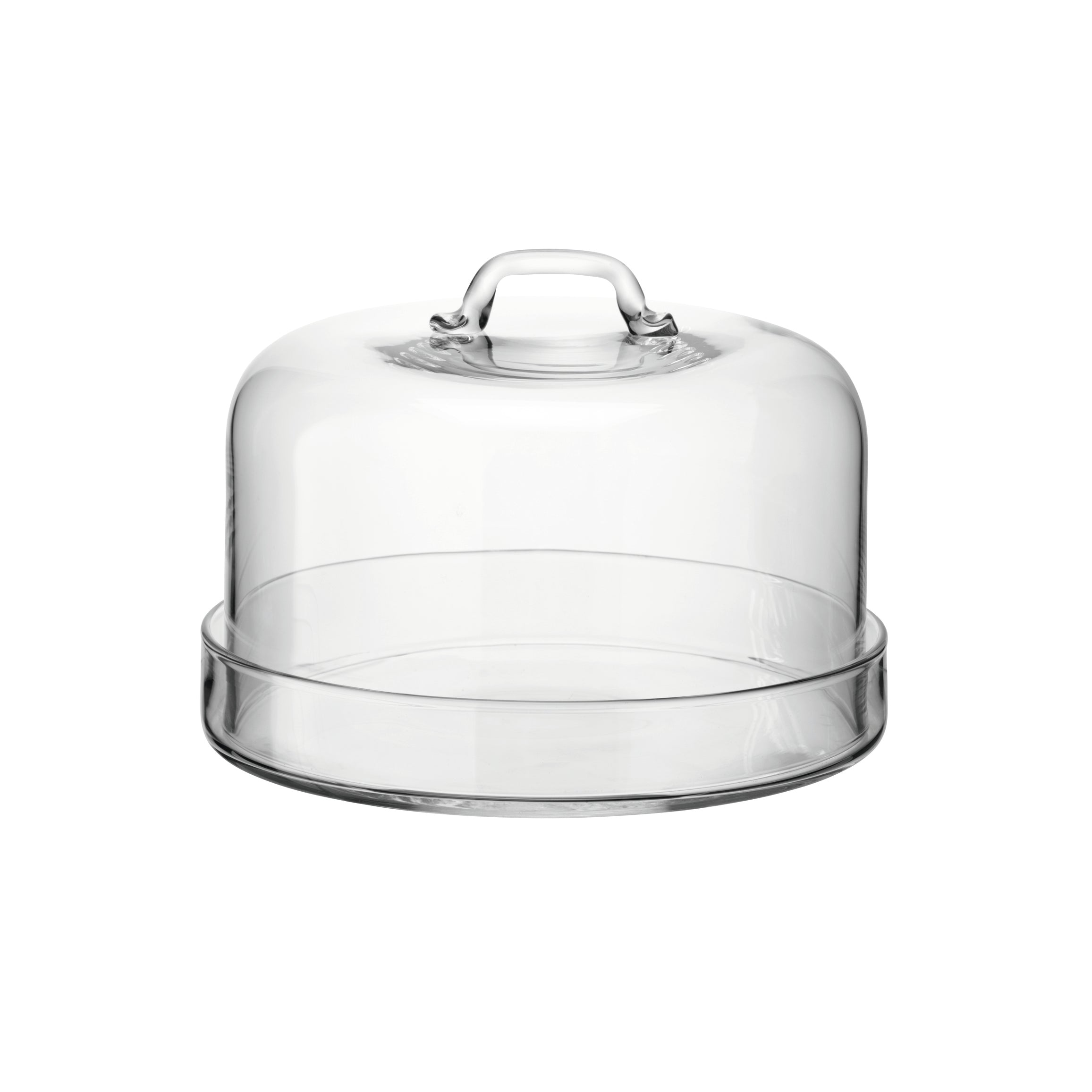 LSA International Serve Plate & Dome - Clear