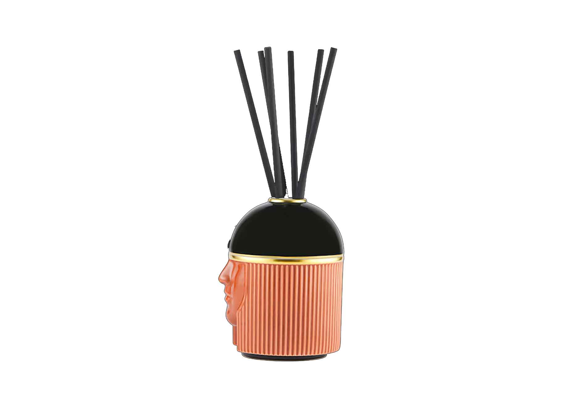 Ginori 1735 - The Red Clay Amazon Scent Diffuser - LCDC