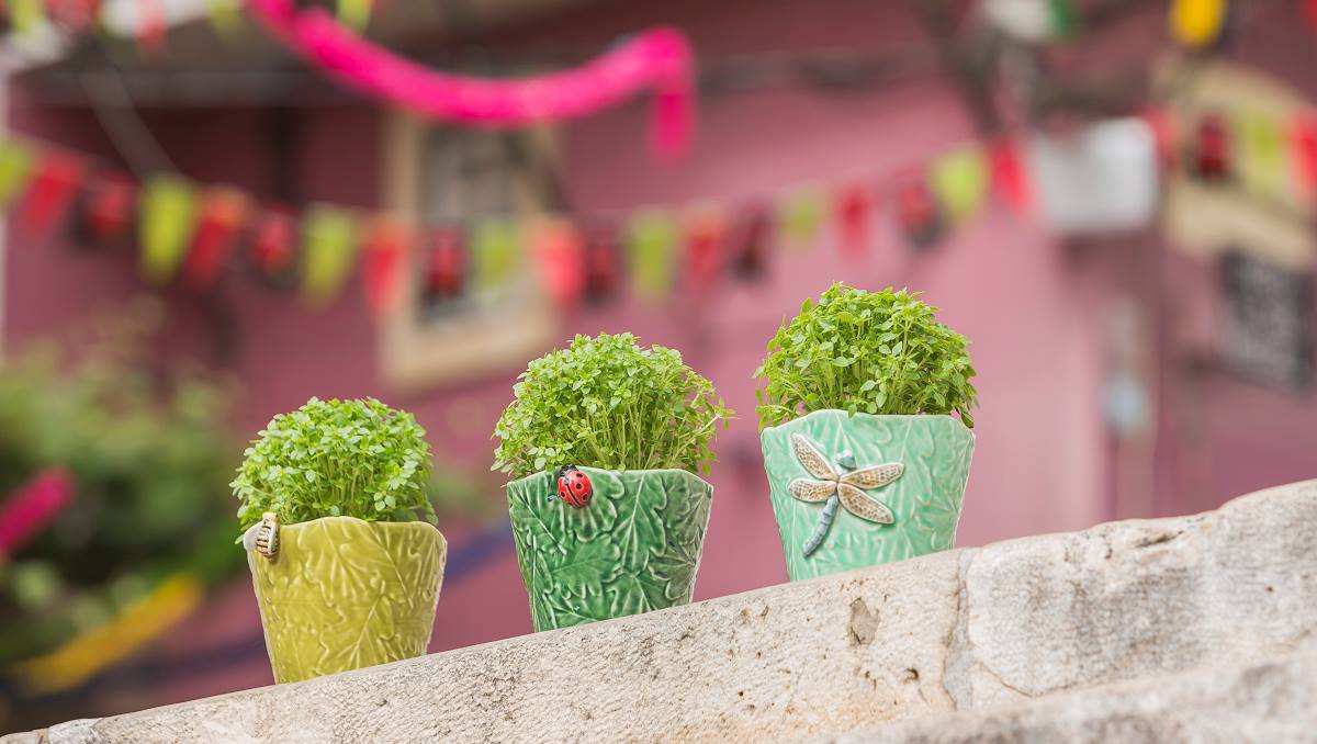 Bordallo Pinheiro 3 Vases Fly Insects Set - Garden of Insects