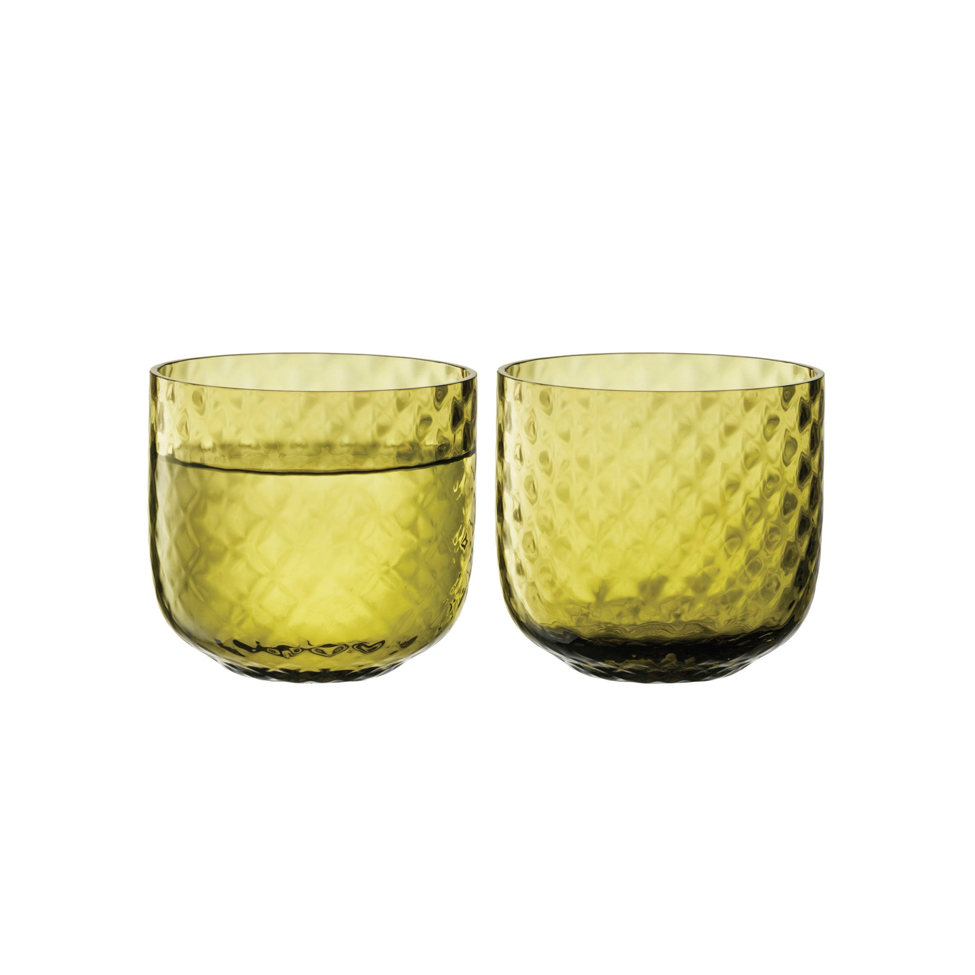 LSA International Dapple Tumbler 300ML x2 - Woodland Green