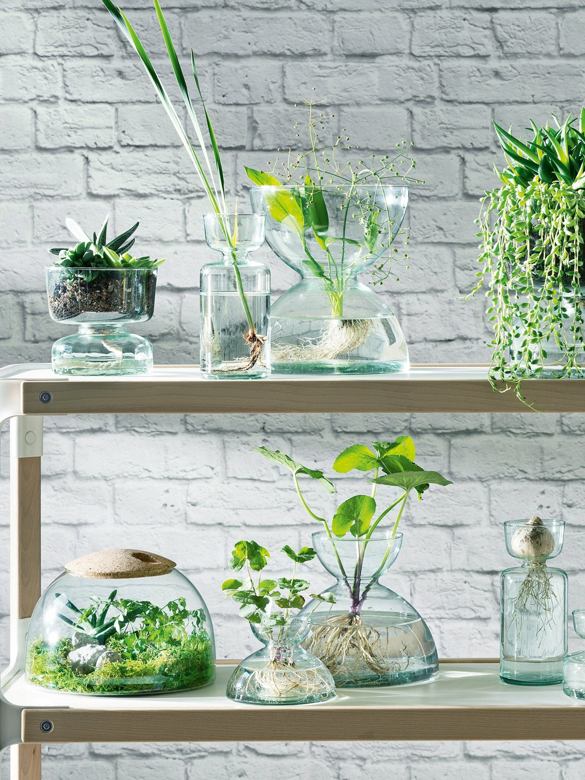 CANOPY SELF WATERING PLANTER H13CM CLEAR/PART OPTIC