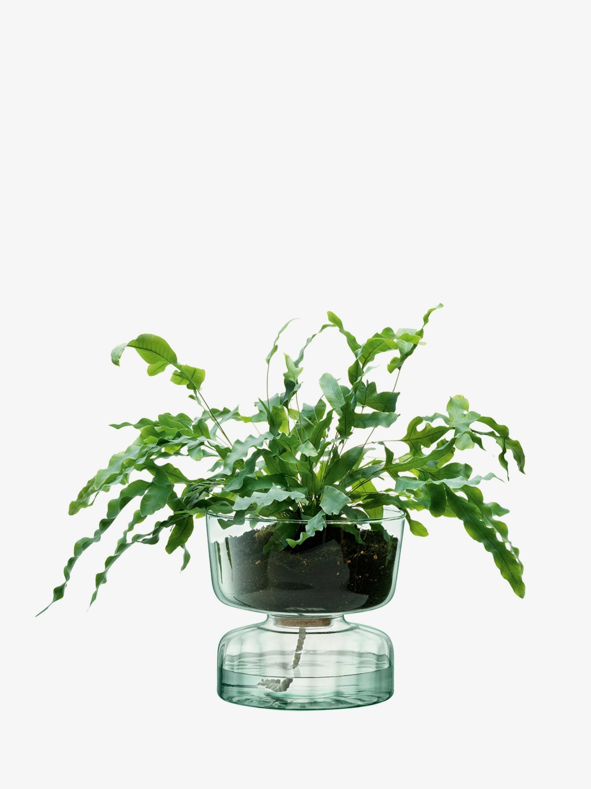 CANOPY SELF WATERING PLANTER H22CM CLEAR/PART OPTIC