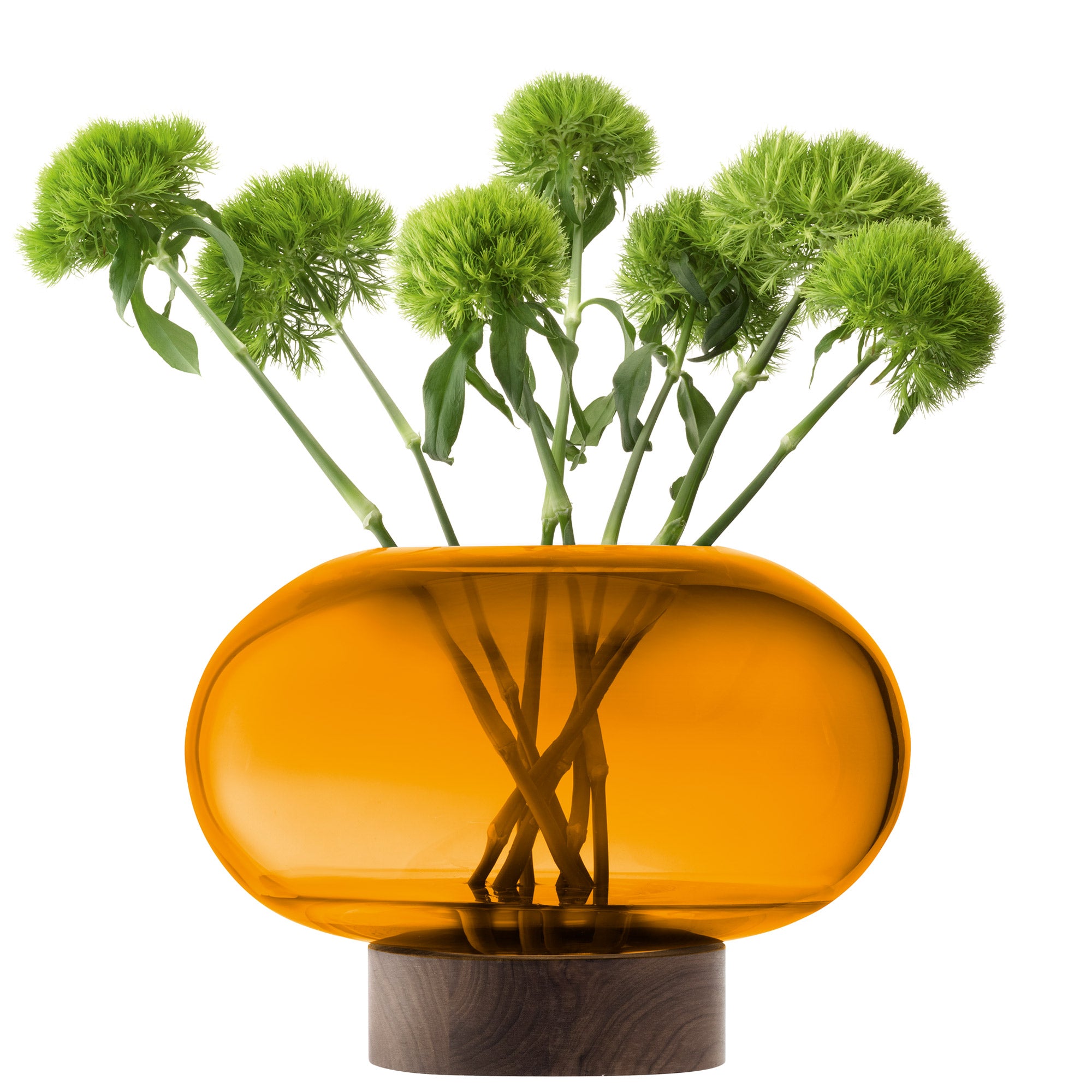 Oblate Vase/Lantern H19.5cm/Ø28cm Amber/Walnut *