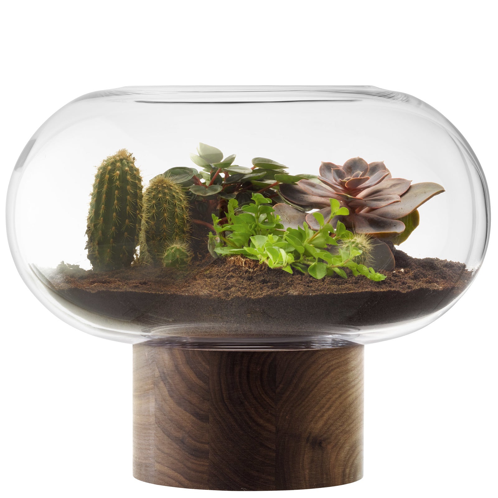 Oblate Vase/Lantern H28cm/Ø35cm Clear/Walnut