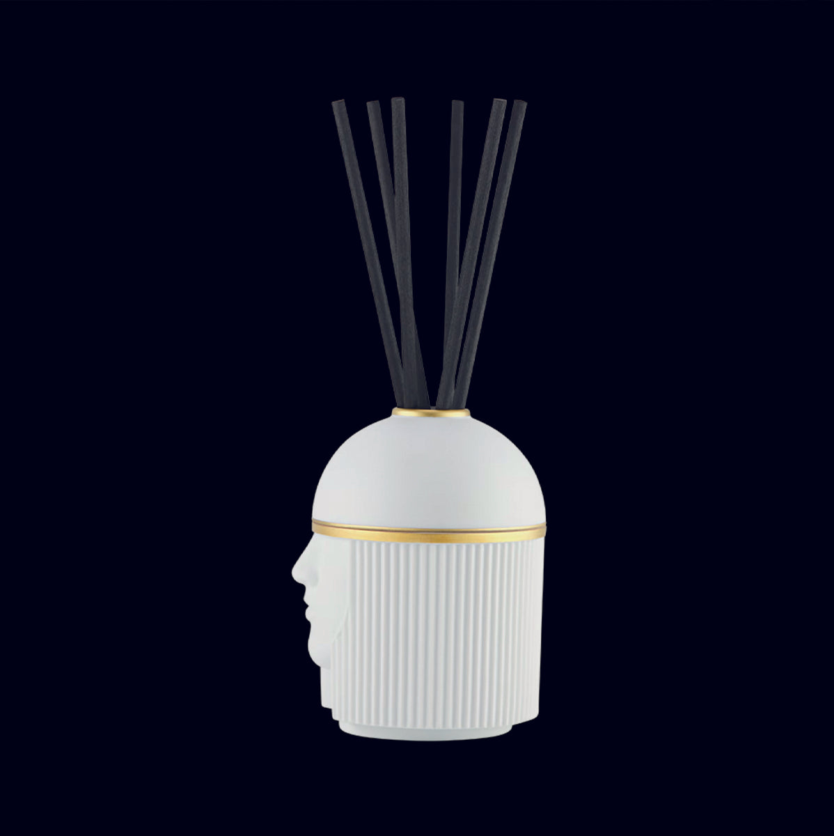 Ginori 1735 - The Pure White Amazon Scent Diffuser - LCDC