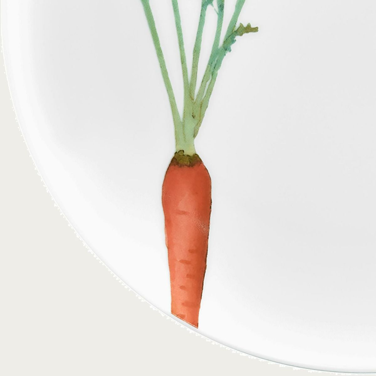 Noritake Coupe Plate 24.1Cm-Kyoka Shunsai Carrot