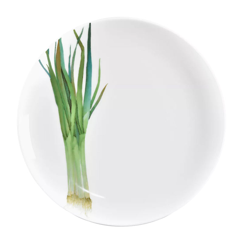 Noritake Coupe Plate 24.1Cm-Kyoka Shunsai Long Green Onion