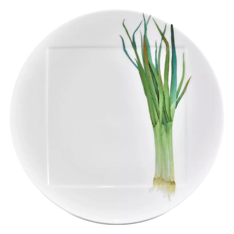 Noritake Plate 26.9Cm-Kyoka Shunsai Long Green Onion
