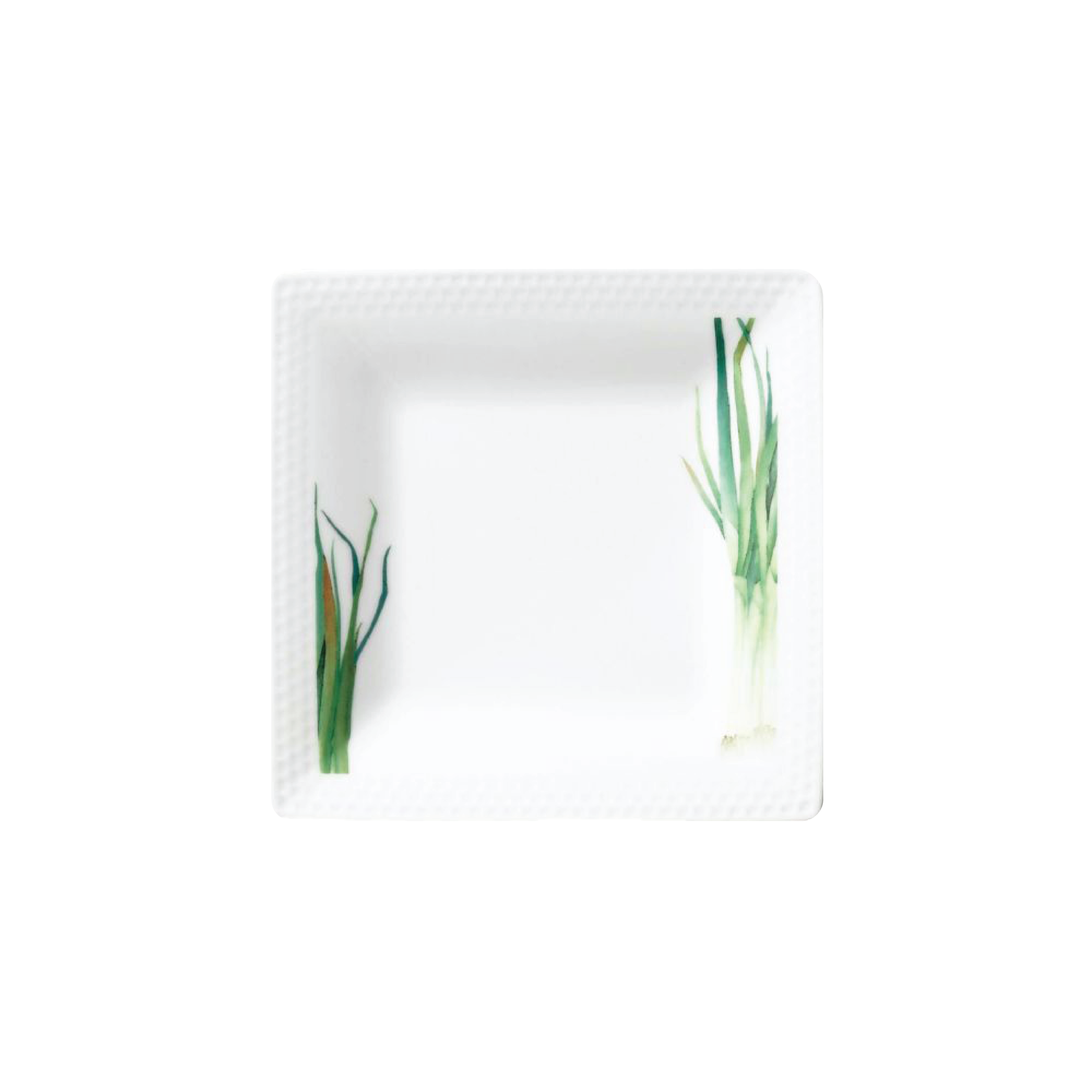 Noritake Square Plate 19.2Cm-Kyoka Shunsai Long Green Onion