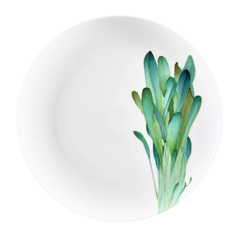 Noritake Coupe Plate 24.1Cm-Kyoka Shunsai Wild Mustard