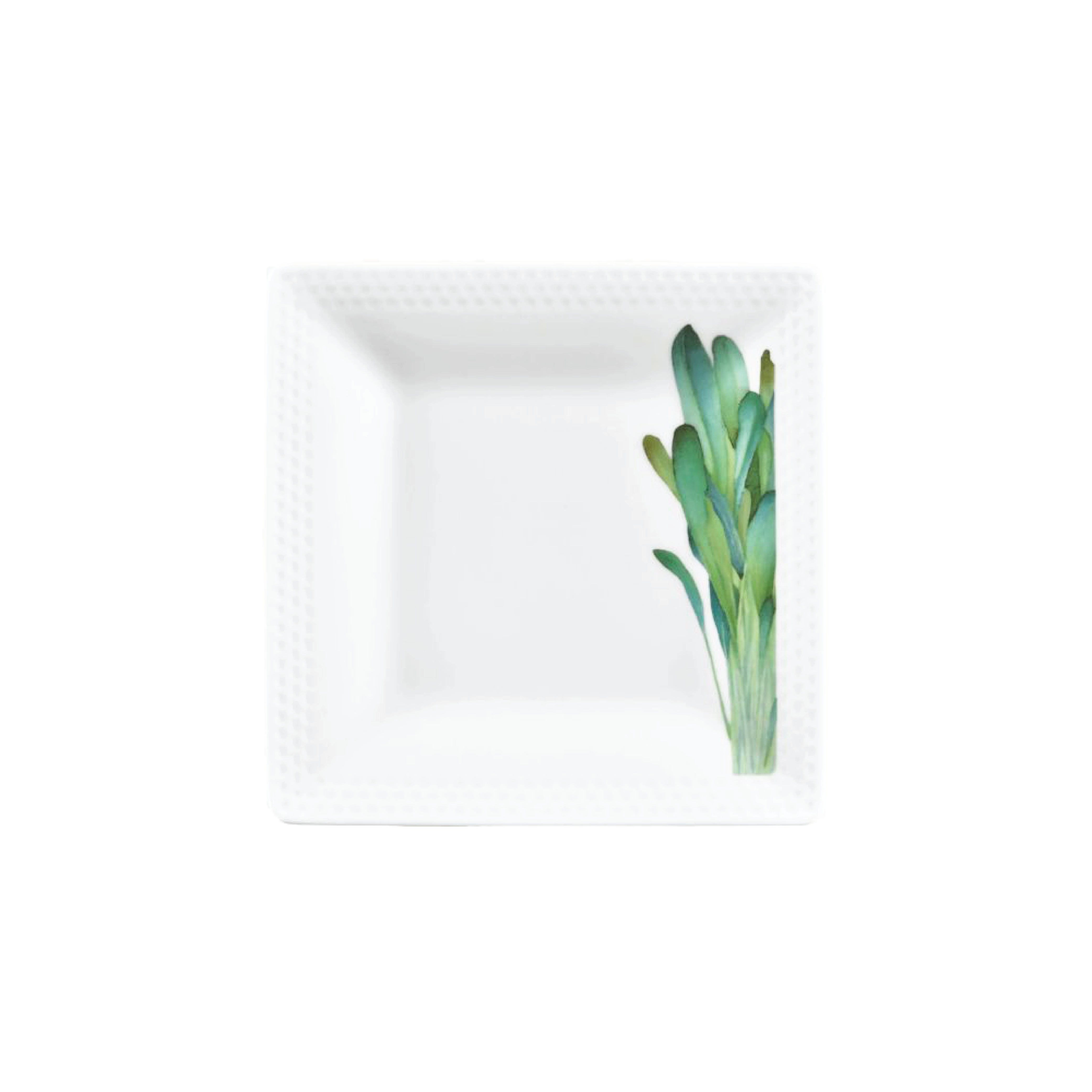 Noritake Square Plate 19.2Cm-Kyoka Shunsai Wild Mustard