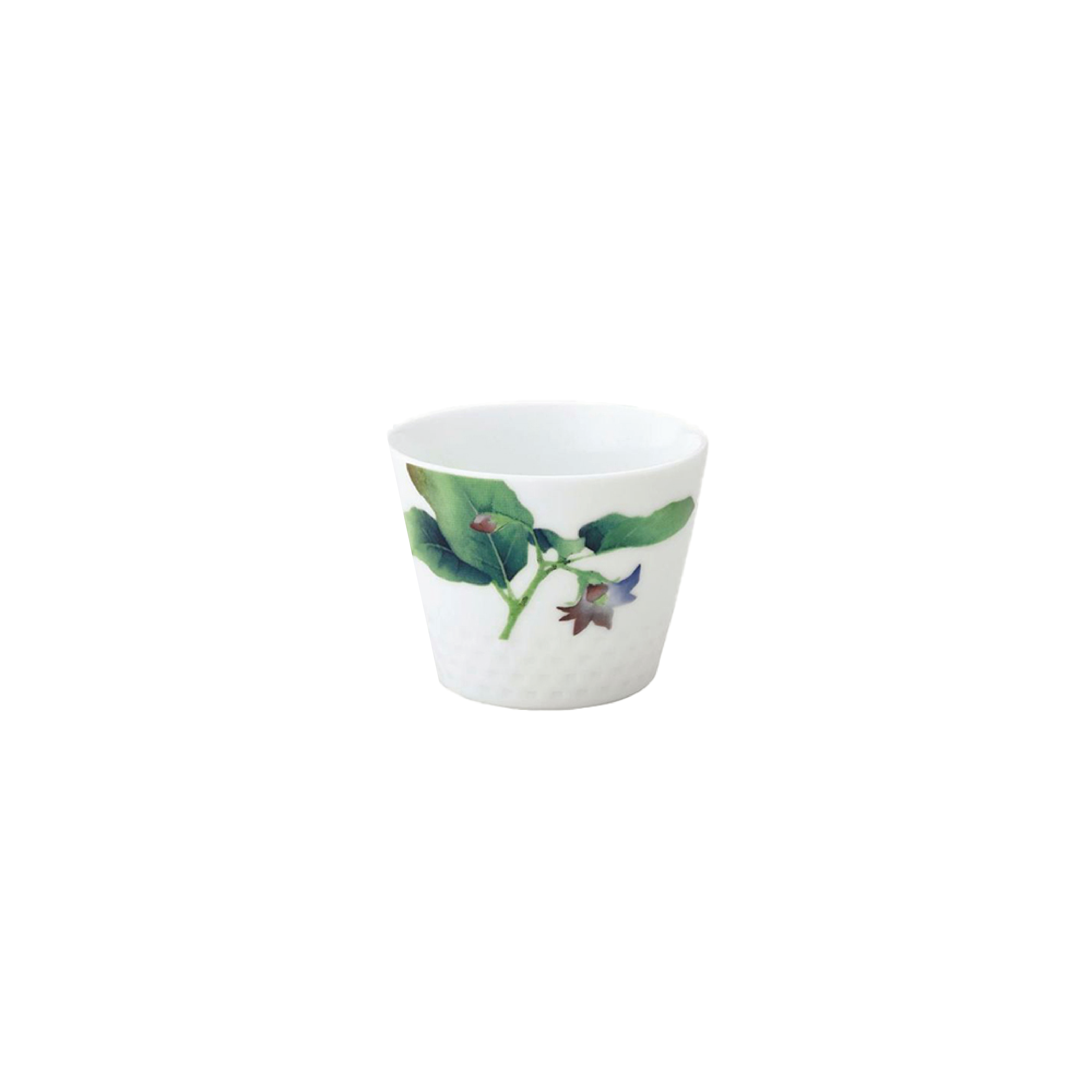 Noritake Japanese Cup 220Ml-Kyoka Shunsai Egg Plant