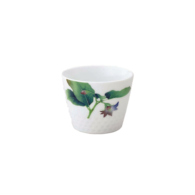 Noritake Japanese Cup 220Ml-Kyoka Shunsai Squash