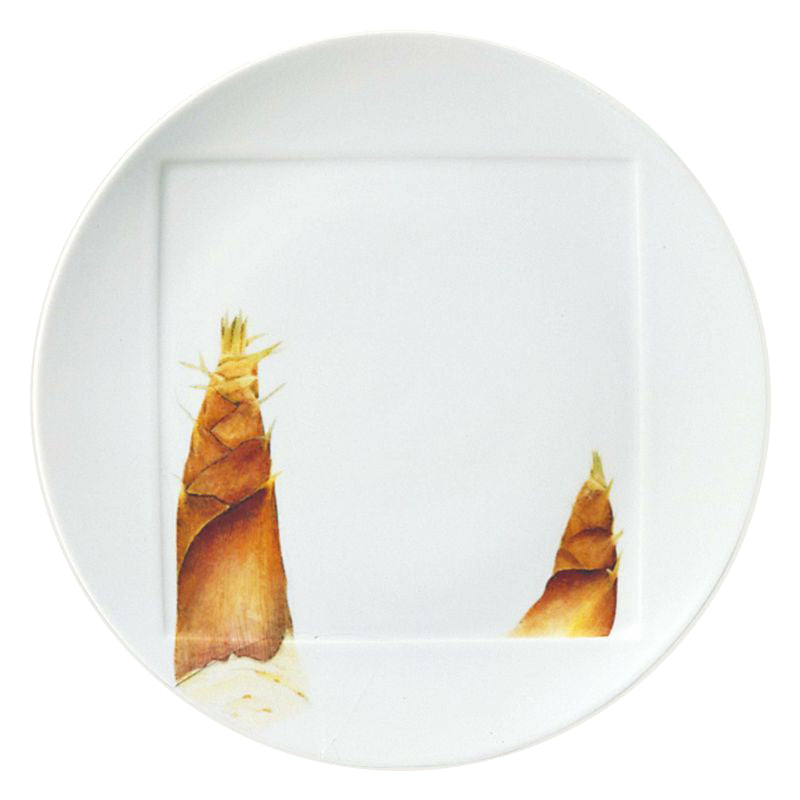 Noritake Plate 26.9Cm-Kyoka Shunsai