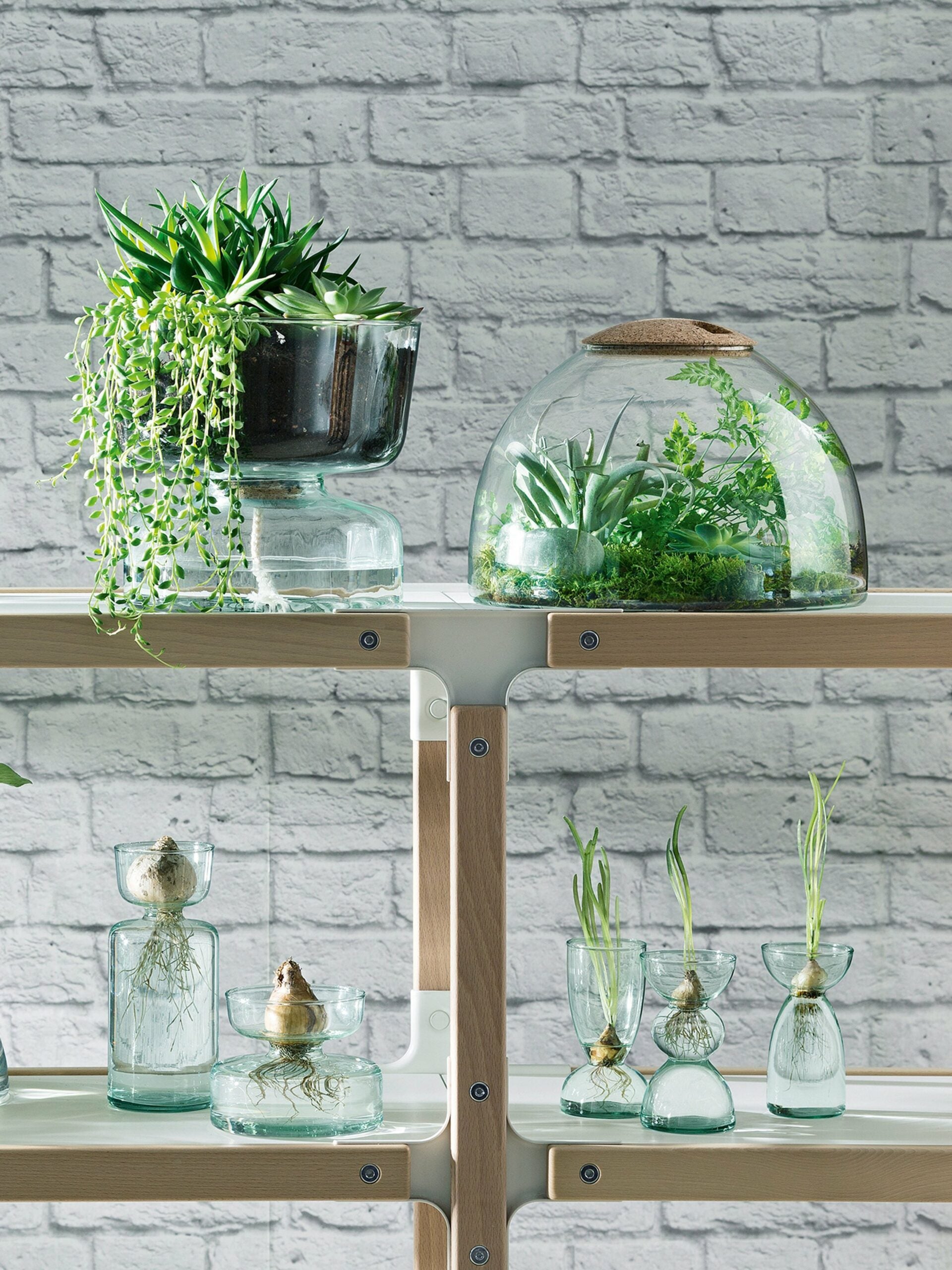 CANOPY SELF WATERING PLANTER H22CM CLEAR/PART OPTIC