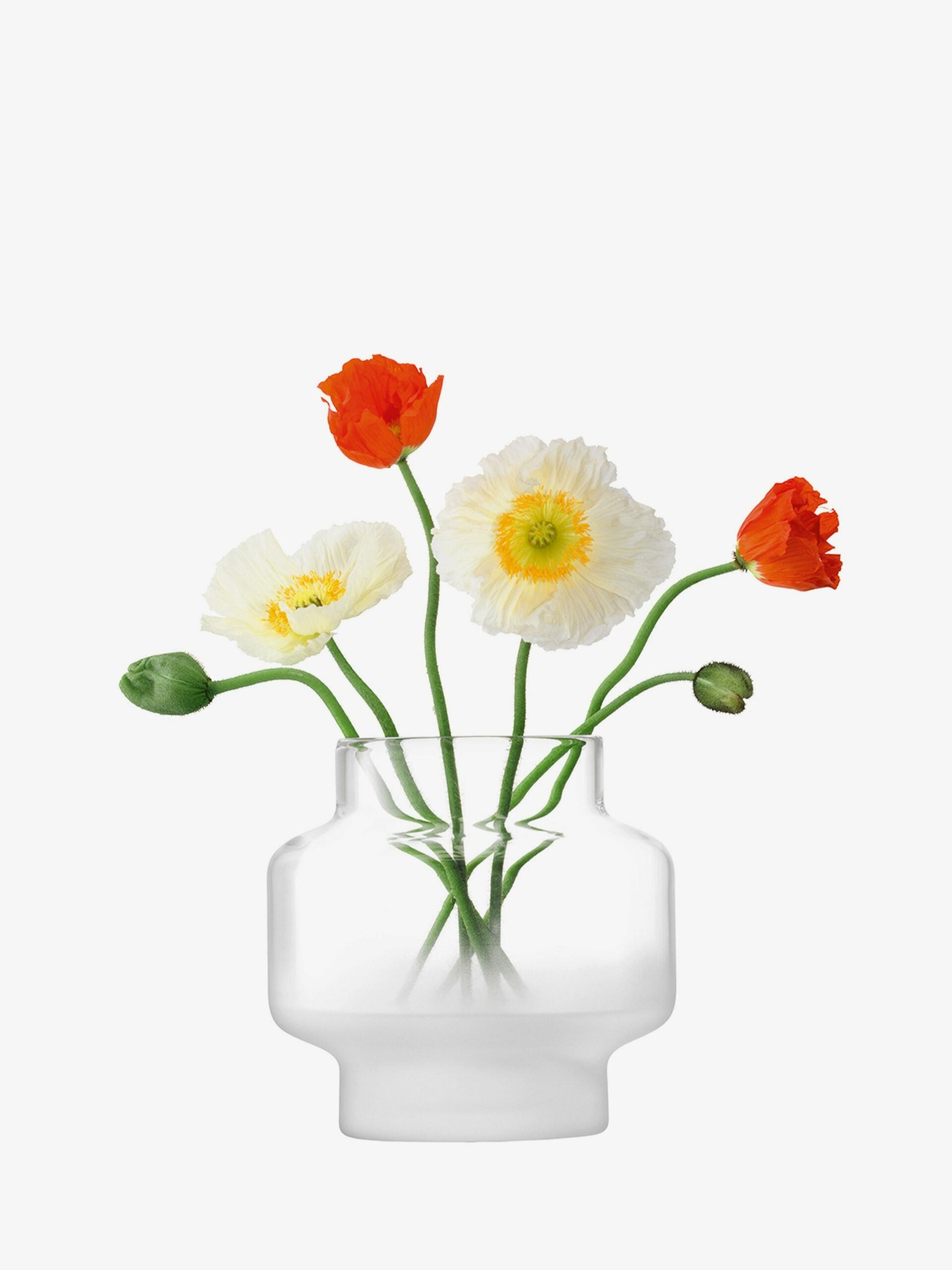 MIST VASE H19CM PART FROST