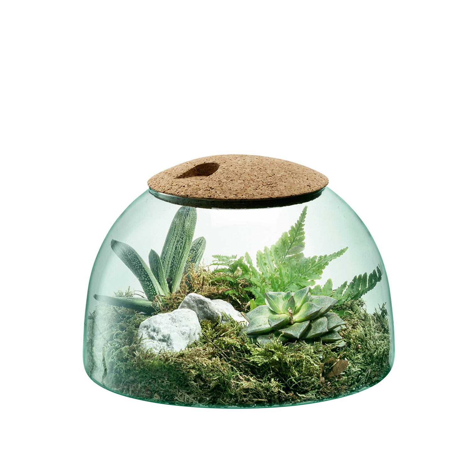 CANOPY CLOSED GARDEN H16.5CM CLEAR/CORK