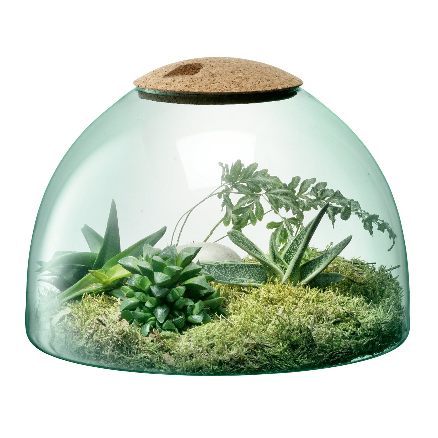 CANOPY CLOSED GARDEN H22CM CLEAR/CORK
