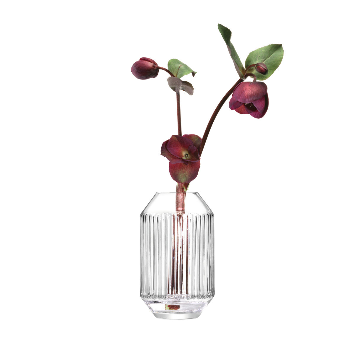 LSA International Rotunda Vase H15cm - Clear