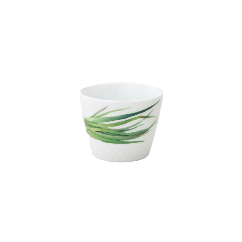 Noritake Japanese Cup 220Ml-Kyoka Shunsai Long Green Onion